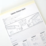 Equine Dental Instrument Dental Charts