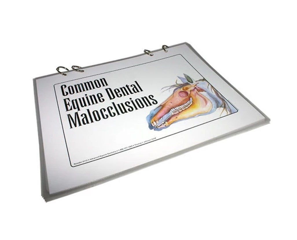 Common Equine Dental Malocclusions Flip Chart The Edge Equine
