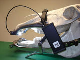 MICHLITE Equine Dental Speculum Light