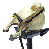 Complete Equine Dental Toolkit