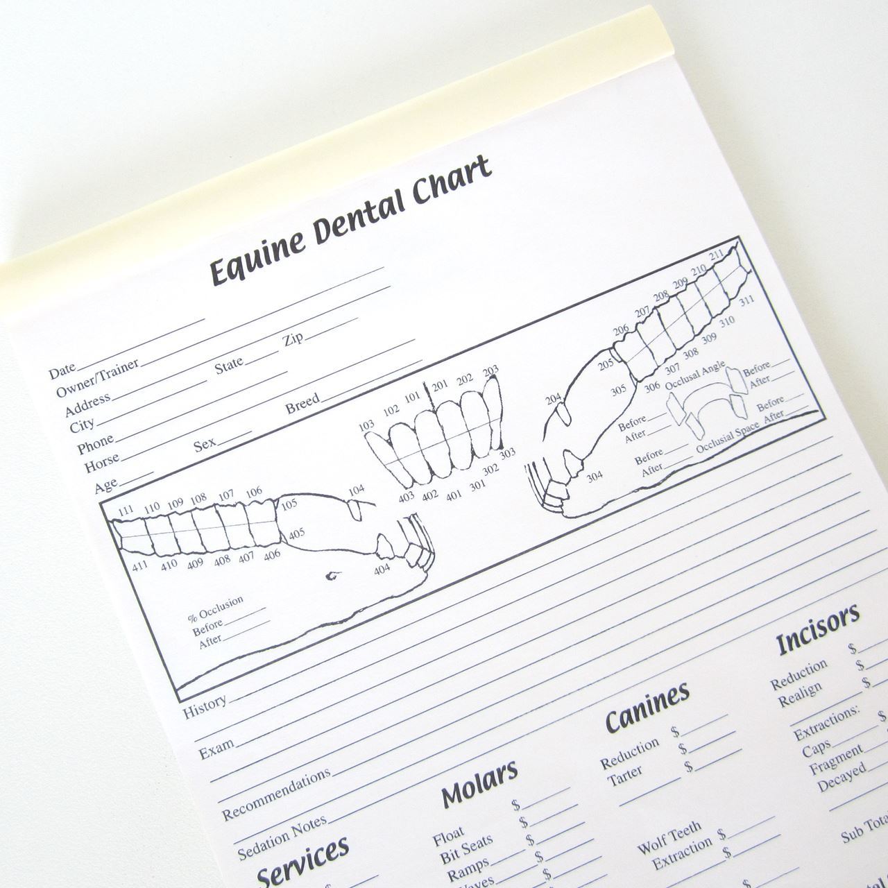 Equine Dental Instrument Dental Charts The Edge Equine