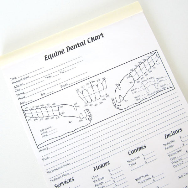 Equine Dental Instrument Dental Charts The Edge Equine