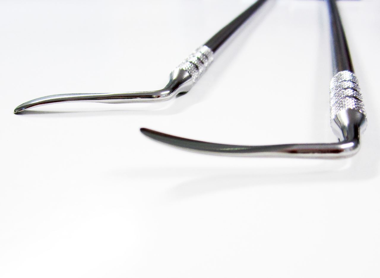 Gingival Elevators (Set of 2) The Edge Equine