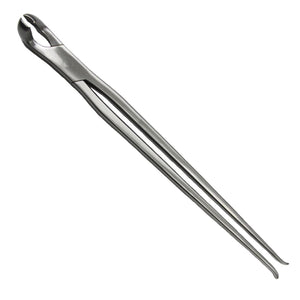Large Extraction Forceps