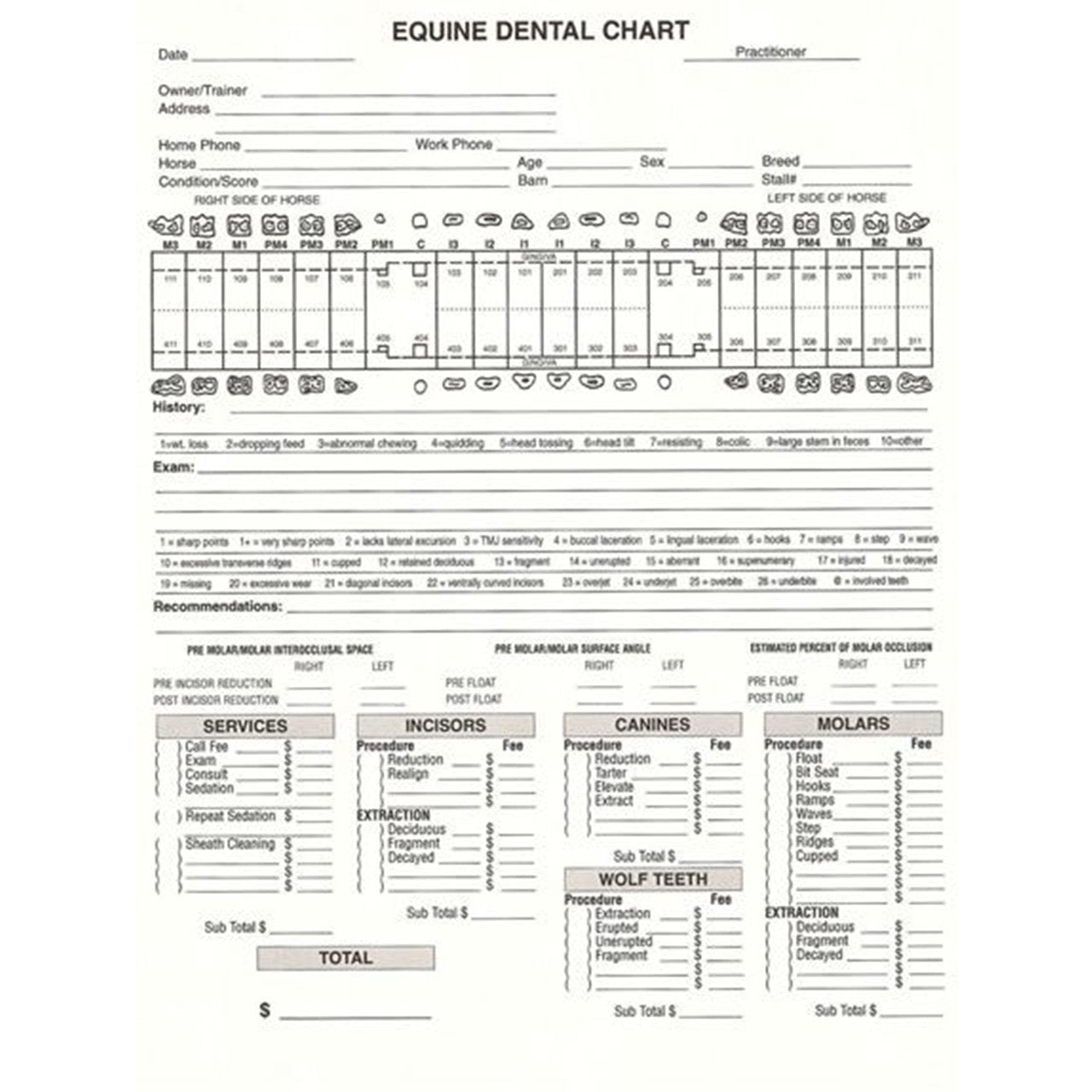 Equine Dental Invoice / Chart (50pk) The Edge Equine