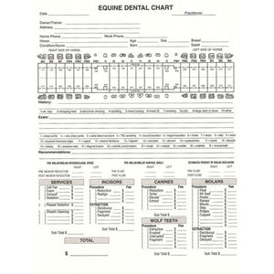 Equine Dental Invoice / Chart (50pk)