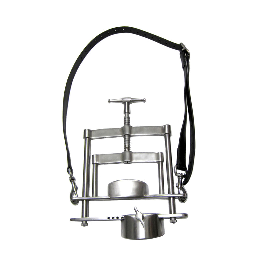 Speculums The Edge Equine